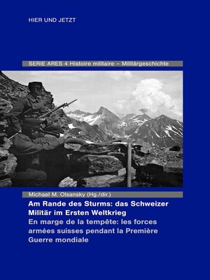 cover image of Am Rande des Sturms